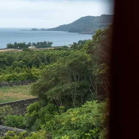 Canada Vinhas Porto Martins