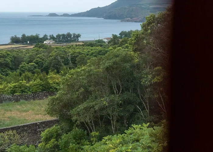 Canada Vinhas Porto Martins